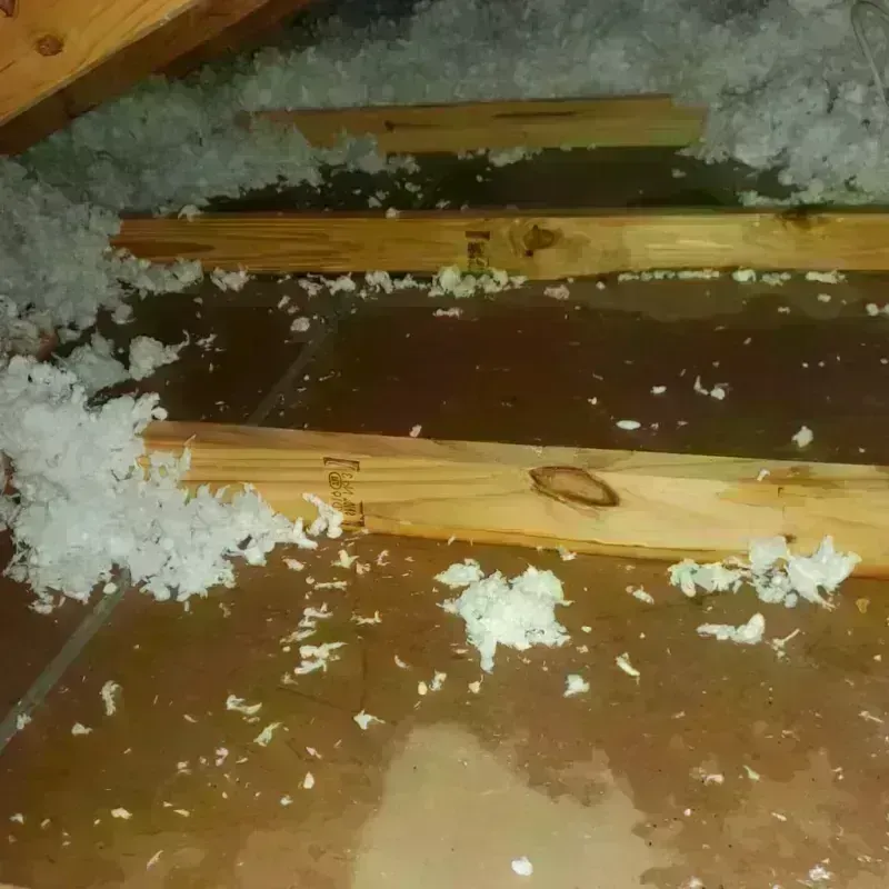 Attic Water Damage in Mercedes, TX