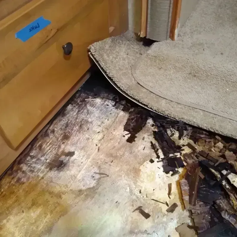 Wood Floor Water Damage in Mercedes, TX